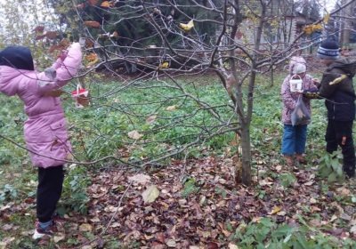 Экскурсия в парк «Позаботимся о птицах»